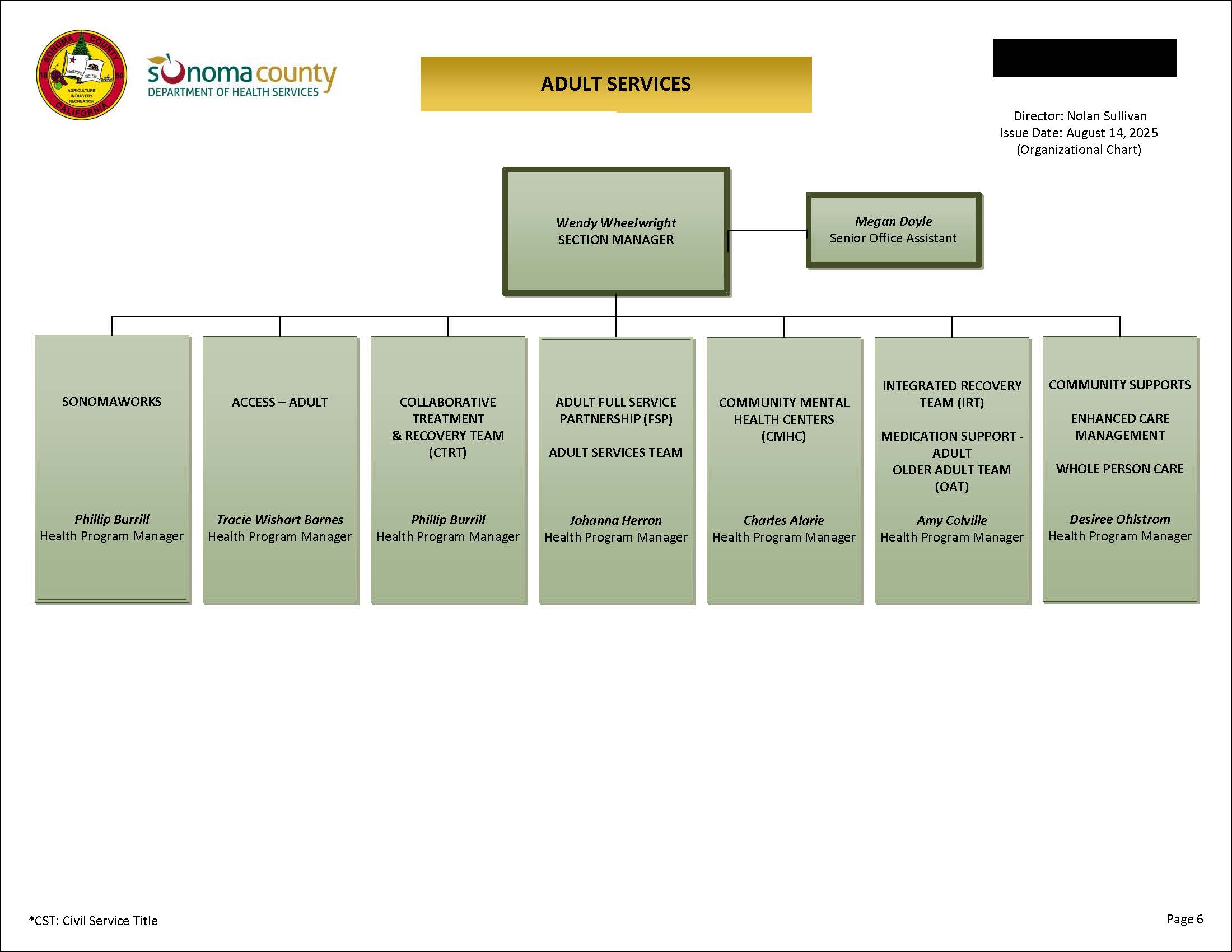 Adult Services Organizational Chart