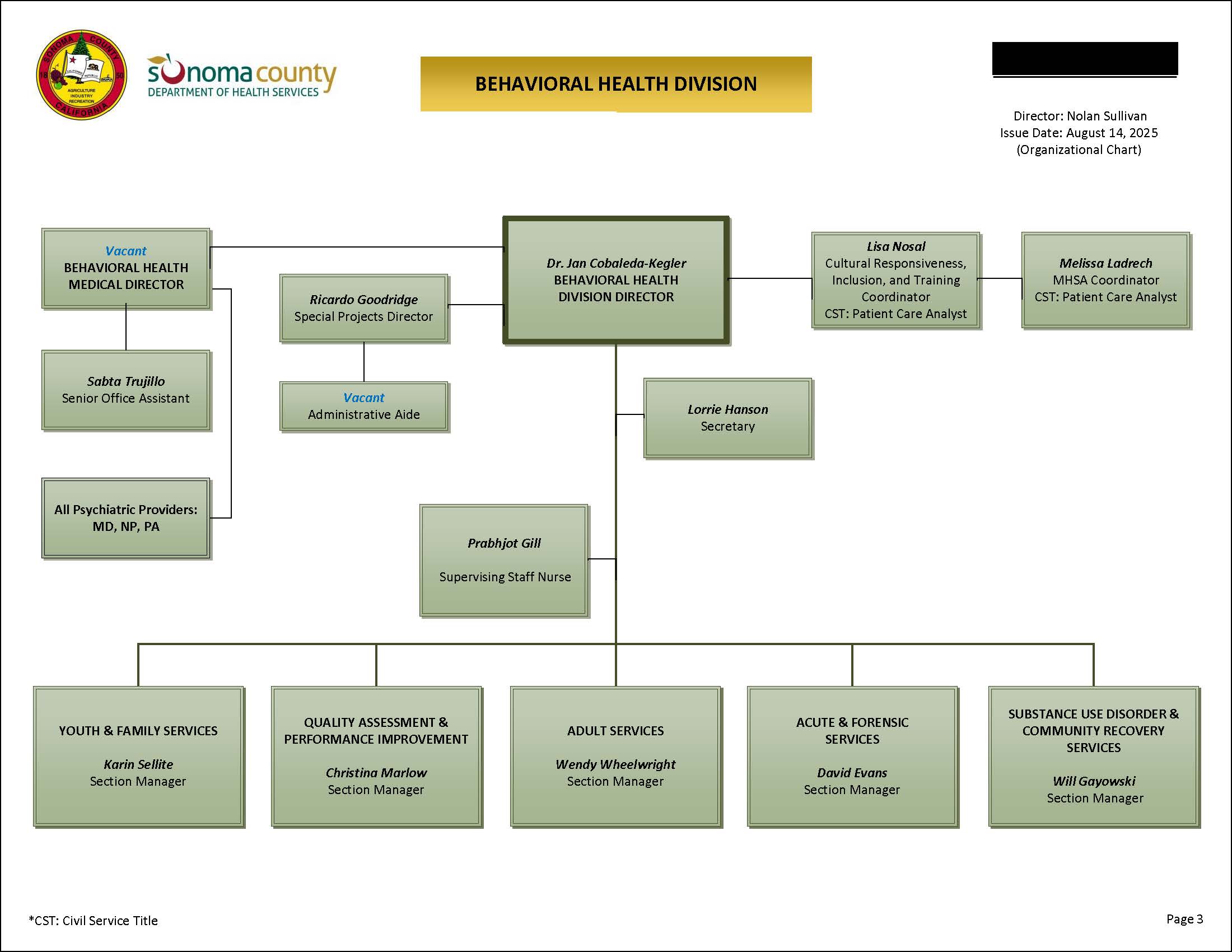 Behavioral Health Division Organizational Chart
